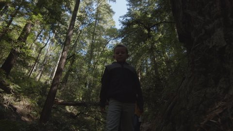 Low angle tracking shot of mother and children walking on path in forest / Muir Woods, California, United States