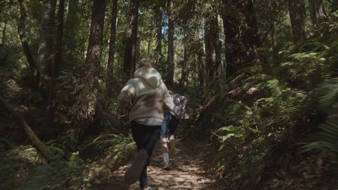 Slow motion tracking shot of boy and girl running uphill in forest / Muir Woods, California, United States