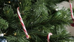 Christmas tree ornaments and candy cane on tree branches 4K close-up video