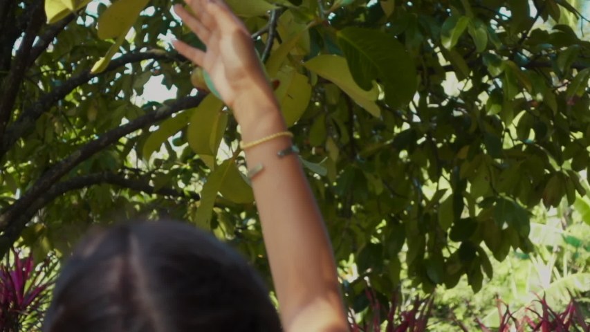 Girl touching leaves on the tree in garden in slow motion