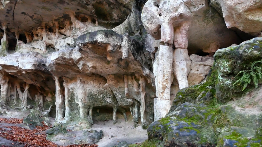 The Cave Grotto in the forest