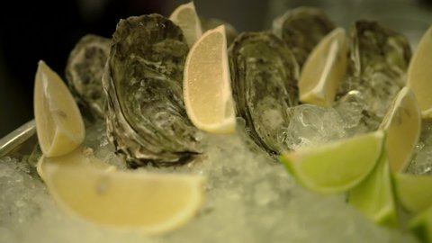 Set of fresh oysters in closed shells with lemon and lime slices on a metal tray covered with ice, close-up. A shellfish dish on a gala dinner. Seafood delicacies with citrus on a cocktail party.