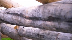 Close up of the wooden logs, a part of the wooden frame. Clip. New ecological house during building process, carpentry concept.