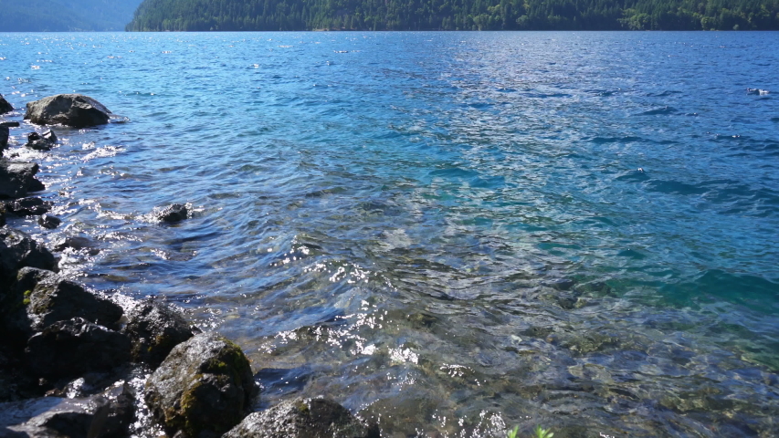 Olympic National Park Lake Crescent Shore in Washington