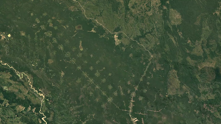 Timelapse intensity deforestation in Bolivia. Data by NASA. Royalty-Free Stock Footage #1042408627