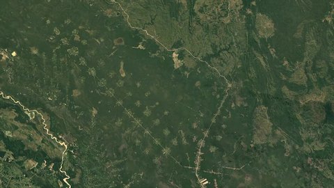 Timelapse intensity deforestation in Bolivia. Data by NASA.