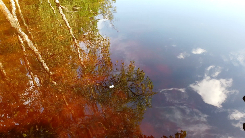 White feather being blown by a breeze on a orange waters of a lake