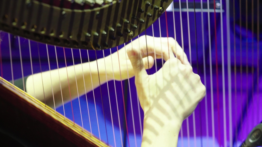 The woman plays the harp. Close-up