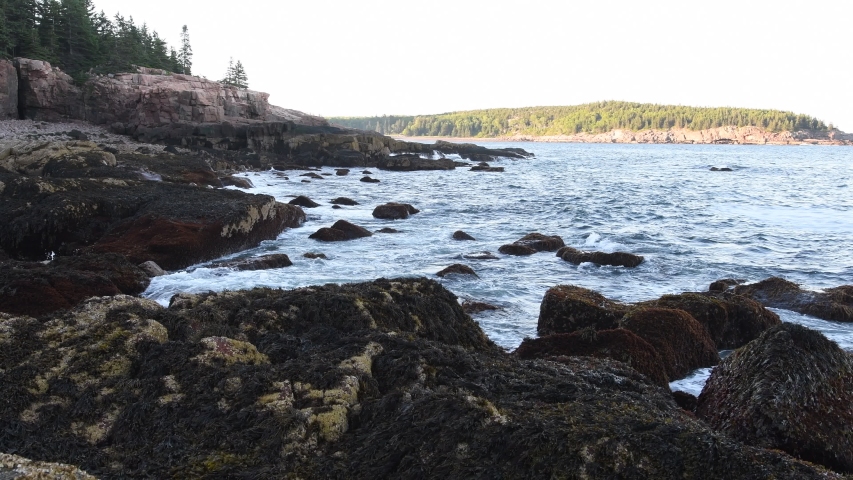 Waves crashing on the coast of Acadia National Park in Maine Video Clip in 4k
