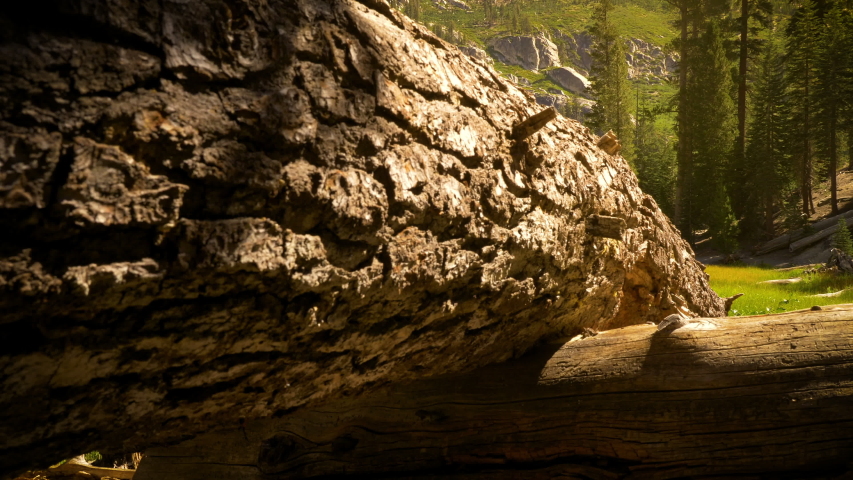 Sotcher Lake in the Ansel Adams Wilderness near Mammoth Lakes California USA