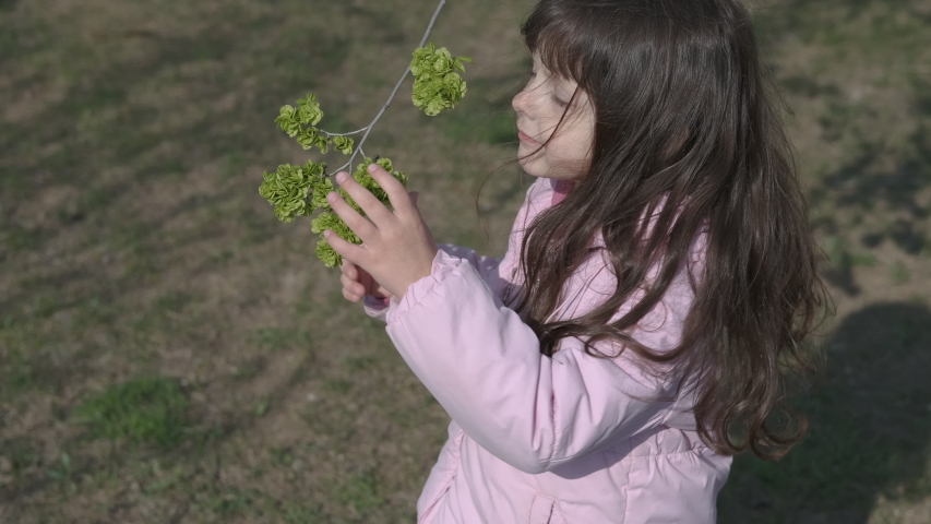 Spring flowering trees. The child looks at a tree branch with the first leaves.