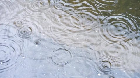 Lots of rain drops forming circles in the puddles.