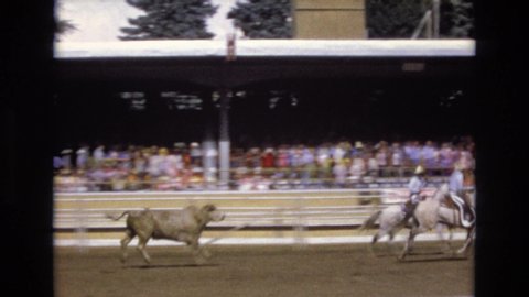 COLORADO SPRINGS COLORADO USA .-1973: Multiple People Spectating Rodeo With Bull Charging After Horseback Riders