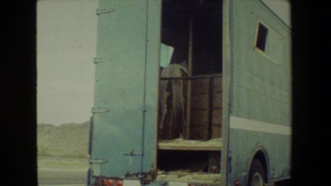 MALIBU CALIFORNIA USA-1981: Horse In Truck Driving Through A Desert With Cacti