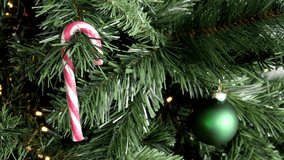 Sweet candy cane on Christmas tree branch close-up 4K video