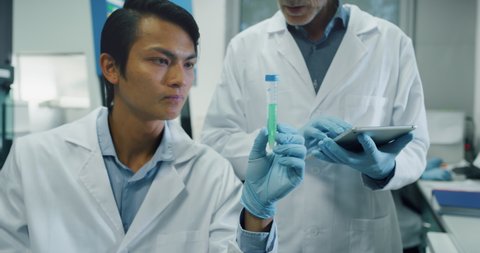 Portrat of two male scientists are making an analysis of the DNA and molecules in the test tubes and signs results in laboratory.
