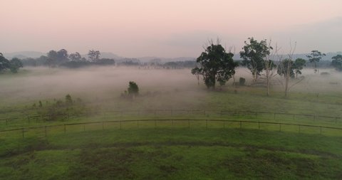 Farming land misty morning, Byron Bay Australia.