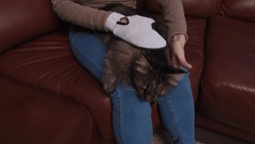 Young woman stroking her cat, close-up 4k video