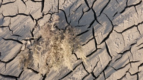 Looking down at the cracked surface of a dry river