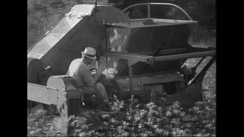 CIRCA 1942 - Cotton is harvested by machine.