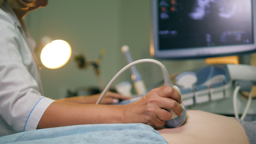 Doctor uses ultrasound equipment while checking pregnant woman. Royalty-Free Stock Footage #1042511002