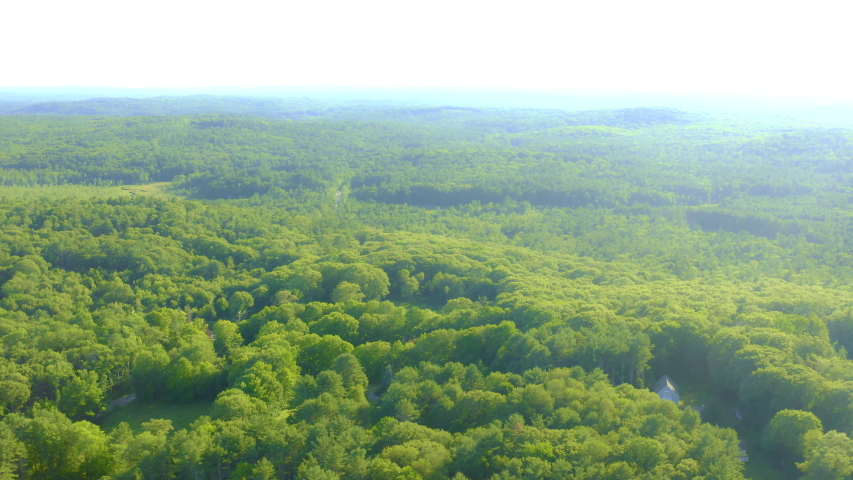 Secluded cottage in the woods on a pond with a dock and tall trees surrounding the peaceful scene in the forest. Camera tilts down from the trees.