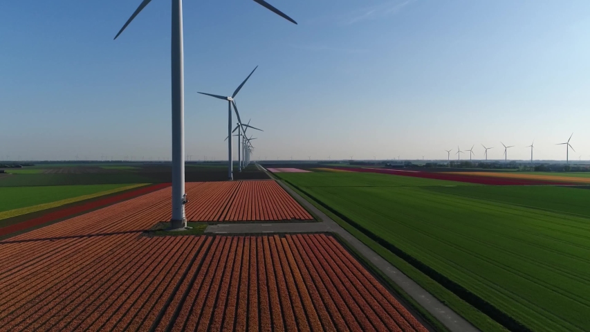 Aerial footage of wind turbines located at tulip fields polder landscape showing the masts of the energy converter is a device that converts the winds kinetic power into electrical electricity 4k Royalty-Free Stock Footage #1042552306