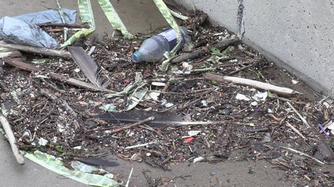 Toronto, Ontario, Canada April 2019 Plastic waste debris and garbage floating in lake water at Toronto harbour