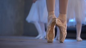 Ballet School. Small ballerinas learn to dance.