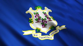 Video of Connecticut State Flags 