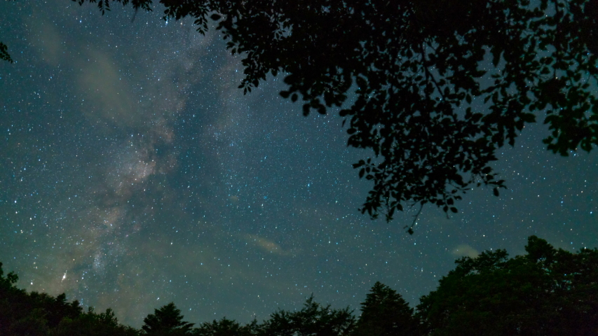 Astro timelapse tracking shot of Milky Way galaxy through forest in Yamanashi prefecture, Japan