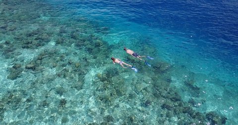 Couple snorkel on crystal waters where can see coral reef, colorful fish, sharks and other sea species in Thailand