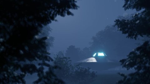 3d. Ufo flew over the wild forest at night	