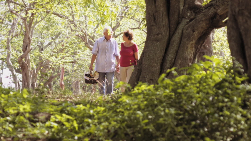 Old people, senior couple, elderly man and woman, husband and wife in park, active seniors, retirement age. Outdoors activity, leisure, recreation. Grandpa and grandma holding hands, doing picnic  Royalty-Free Stock Footage #1042616857