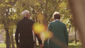 Back view of elderly couple holding hands while walking together in park . Rear view of romantic senior couple resting , relaxing in nature . Happiness people lifestyle . Slow motion footage . - Powered by Shutterstock - Get 15% off with code: PIKWIZARD15