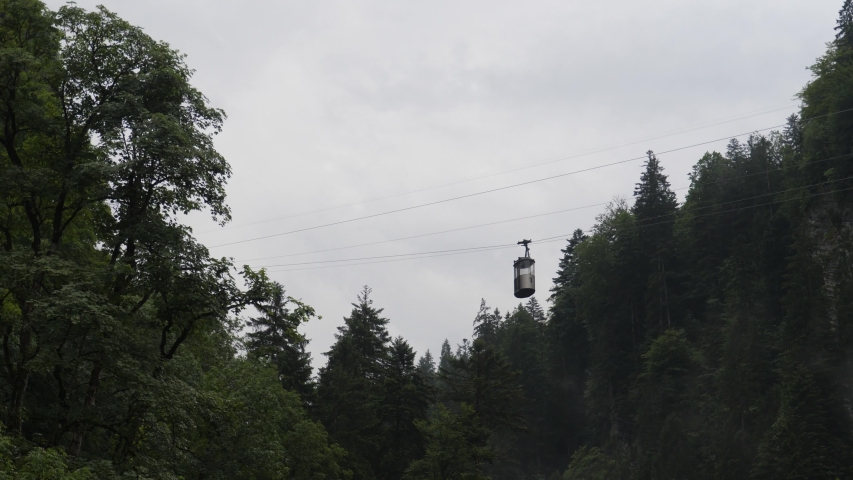 Ski gondola moves over tree tops