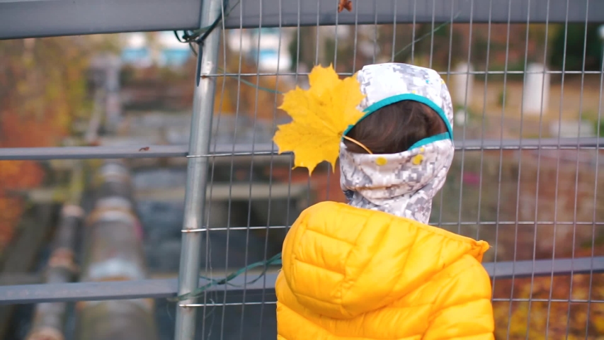 A boy in yellow clothes stands with his back to the camera, in front of a fence on the street. A yellow maple leaf sticks out in the hood. Awaiting parents, looking around.