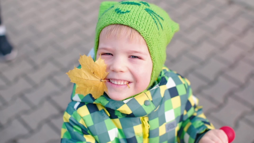 A handsome boy in green clothes holds a yellow maple leaf in his teeth. He takes a leaf of a tree in his hand and shows it to the viewer.