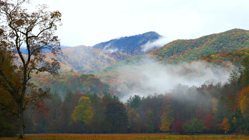 Wide, timelapse, autumn landscape with a heavy fog moving, North Carolina, USA