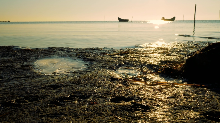 muddy shore of Sarichioi lake, Dobrogea, Romania