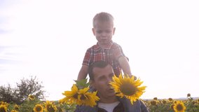happy family lifestyle concept father's day slow motion video.father and son walk on the field of sunflowers farmers funny funny video. happy family dad man rolls around the neck of a little boy son