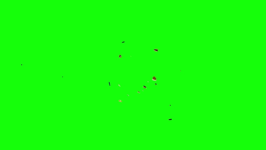 moth bug overlay on greenscreen perfect Stock Footage Video (100% ...