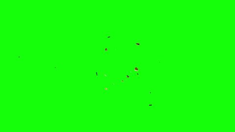 Moth Bug Overlay On Greenscreen Perfect Stock Footage Video (100% ...