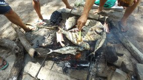 Traditional method grilling fresh fish on firewood. Human hand. 