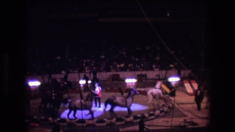 BOSTON USA-1974: FIlmed Live, At The Circus, Horses Perform In Small Uncomfortably Cramped Ring, Confusion Ensues