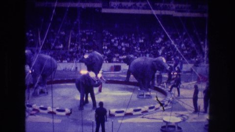 BOSTON USA-1974: Elephants At The Circus