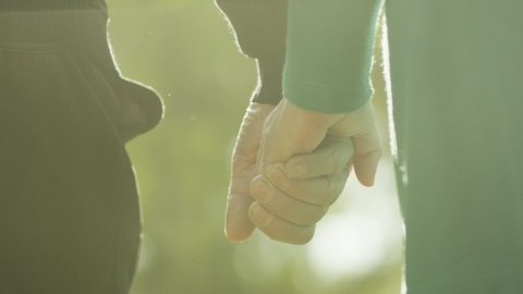 Back view of elderly couple holding hands while walking together in park . Senior couple on a walk in autumn nature. Happiness people lifestyle. Close up of elderly couple hand . Slow motion footage