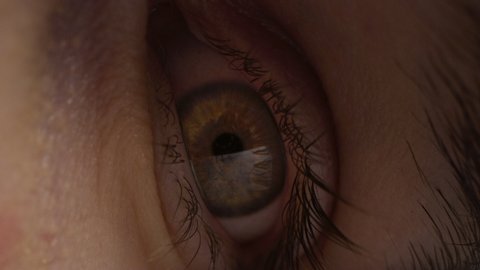 Close Up Macro Shot of an Eye. Handsome Natural Young Male Wakes Up and Open His Eyes with Brown and Yellow Color Pigmentation on the Iris. Man is Staring and Blinks.