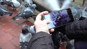 Shooting of feeding of pigeons.
