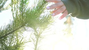 the girl touches a branch of the Christmas tree in the light from the sun, the video contains noise